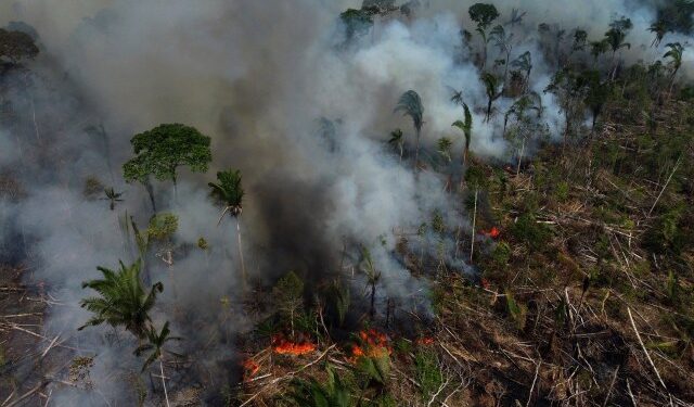 Brasil comienza 2024 con el mayor número de incendios registrado en ocho años en la Amazonía