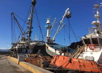 El 40% de la flota pesquera en Venezuela está en alto riesgo por falta de combustible