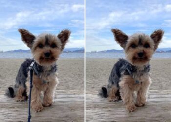 Windows ya permite quitar objetos de una foto con un clic