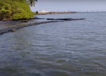 A los pescadores del Lago de Maracaibo les toca botar los peces porque “saben a gasoil”
