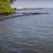 A los pescadores del Lago de Maracaibo les toca botar los peces porque “saben a gasoil”