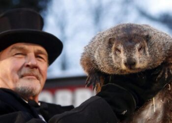 La marmota más famosa del mundo predice una primavera temprana