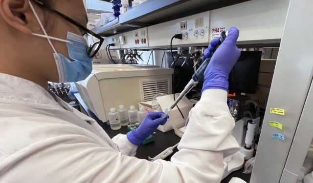 Científicos avanzan para desentrañar el misterioso Covid persistente