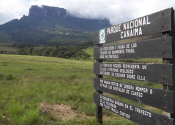 Mueren piloto y capitán indígena tras accidente aéreo en el Parque Nacional Canaima
