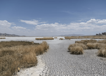 Los estragos del fenómeno El Niño en Sudamérica