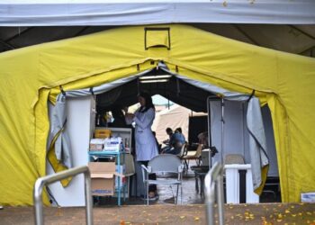 Con más de 700 mil casos en dos meses, Brasil combate el dengue puerta por puerta