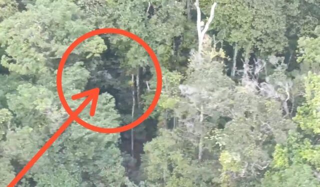 EN VIDEO: Así localizaron un avión siniestrado en medio de una densa vegetación en Bolívar