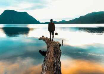 Un hombre afirma haber viajado al futuro y reveló que ya no hay humanos en la Tierra