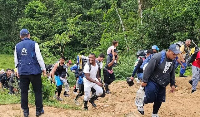 Migrantes que se quedan sin dinero para cruzar el Darién estarían transportando droga