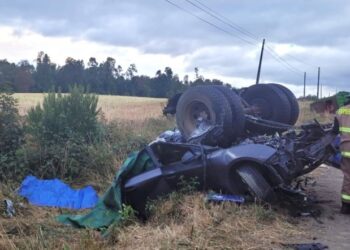 Terrible accidente al desprenderse remolque de un camión en Chile dejó seis muertos, inclusive dos venezolanos