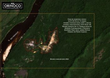 Imagen satelital muestra la extensión de la mina de oro ilegal “Bulla Loca” en Bolívar