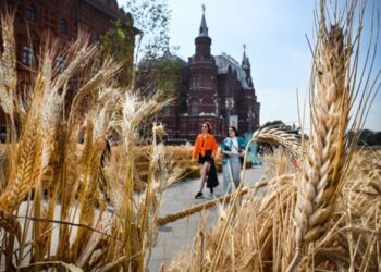 Tribunal ruso envió a la cárcel a estudiante que nombró su red wifi con lema ucraniano