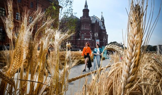 Tribunal ruso envió a la cárcel a estudiante que nombró su red wifi con lema ucraniano