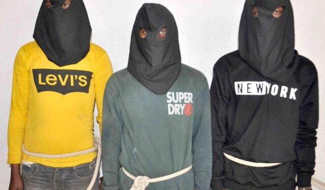 Arrestan a un cuarto sospechoso del ataque y violación de una española en la India