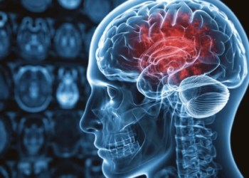 El cerebelo experimenta un proceso continuo de aprendizaje toda la vida, según estudio