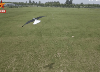 Expertos aeronáuticos diseñaron un dron que imita perfectamente el vuelo de las aves (Video)