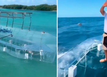 Video VIRAL: un bote transparente, la nueva atracción en Los Roques que desató comentarios en redes