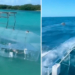 Video VIRAL: un bote transparente, la nueva atracción en Los Roques que desató comentarios en redes