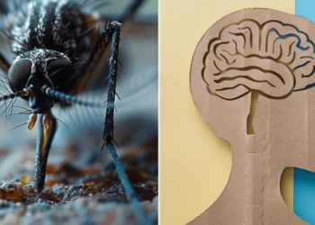 Depresión y ansiedad, los síntomas menos conocidos del dengue