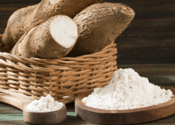 Para qué sirve la yuca, qué enfermedades previene y cuál es peligro que representa