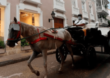 Detienen a responsables de estafar a turista canadiense por un paseo turístico en Colombia