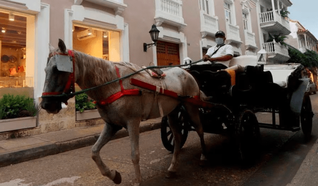 Detienen a responsables de estafar a turista canadiense por un paseo turístico en Colombia