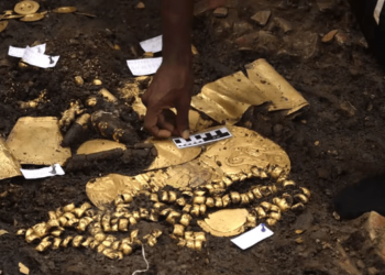 Hallaron una tumba ancestral repleta de oro y evidencias de sacrificios humanos en Panamá