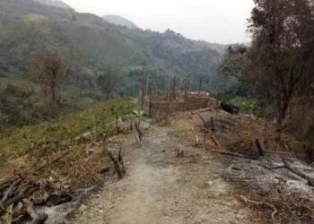 Alerta forestal en Lara: persisten los incendios provocados en el Parque Nacional Yacambú