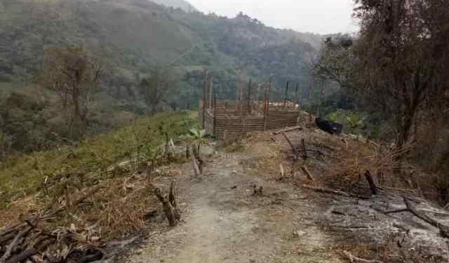 Alerta forestal en Lara: persisten los incendios provocados en el Parque Nacional Yacambú