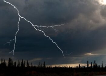 Supuesto viajero en el tiempo dice que el año bisiesto 2024 estará lleno de devastadores eventos en EEUU