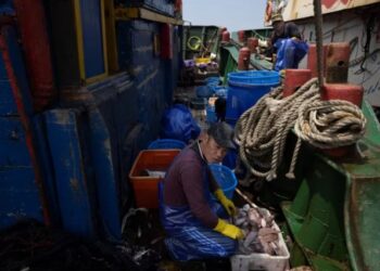 La trama que expone cómo los norcoreanos son utilizados como esclavos modernos en las plantas de procesamiento de pescado de China