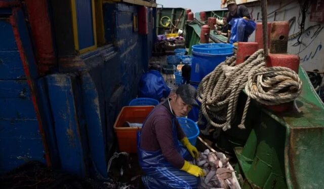 La trama que expone cómo los norcoreanos son utilizados como esclavos modernos en las plantas de procesamiento de pescado de China
