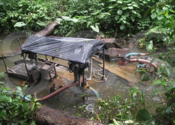 ONG denuncia que hay una carretera ilegal entre Brasil y una zona minera de Venezuela