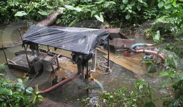 ONG denuncia que hay una carretera ilegal entre Brasil y una zona minera de Venezuela