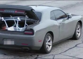 Terminó arrestada en Georgia por trasladar a su hijo sentado en el maletero (VIDEO)