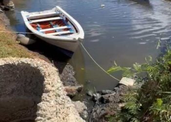 Pescadores alertan que aguas residuales contaminan la bahía de Juan Griego
