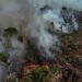 La ONU alerta de la “narcodeforestación” del Amazonas
