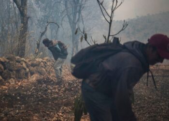 Gobierno reporta 116 incendios forestales activos en México