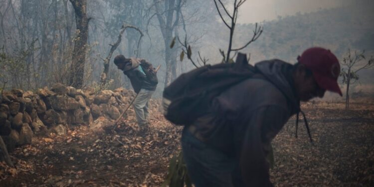 Gobierno reporta 116 incendios forestales activos en México