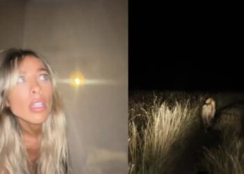 La aterradora experiencia de una mujer que se fue de vacaciones a la sabana africana (VIDEO)