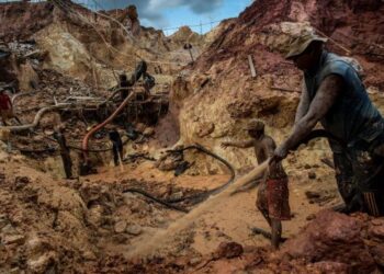 ¿Se pueden reparar los daños ambientales causados en Venezuela?