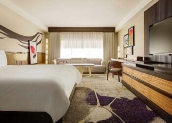 “Sentí como si me apuñalaran”: dormía en hotel de Las Vegas, pero criatura mortal le picó en las partes íntimas