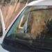 “Mi amor, no”: Fue a buscar su auto para ir a trabajar y encontró a su perro en una situación desgarradora (VIDEO)