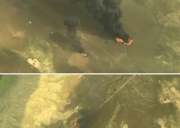 FANB destruyó dos aeronaves presuntamente vinculadas con actividades ilícitas en el estado Apure