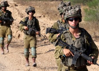 Más de la mitad de las tierras de cultivo en la hambrienta Gaza están dañadas