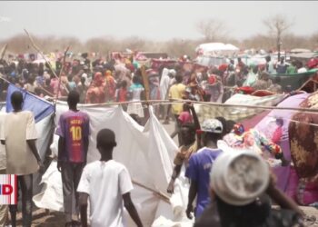 Hay 120 millones de refugiados en el mundo, según ACNUR.