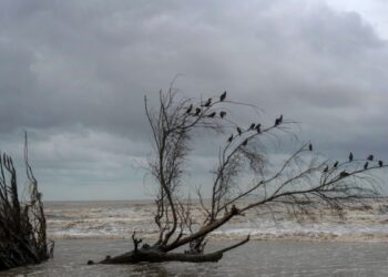 El descenso de las temperaturas, y la posibilidad de lluvia, podrían ayudar a los bomberos que luchan los fuegos en el sur de Nuevo México.