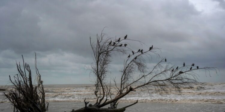 El descenso de las temperaturas, y la posibilidad de lluvia, podrían ayudar a los bomberos que luchan los fuegos en el sur de Nuevo México.