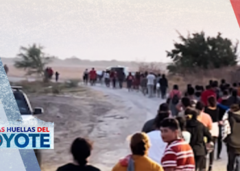 Audio | Tras las huellas del coyote