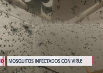 Detectan virus del Nilo en Las Vegas
